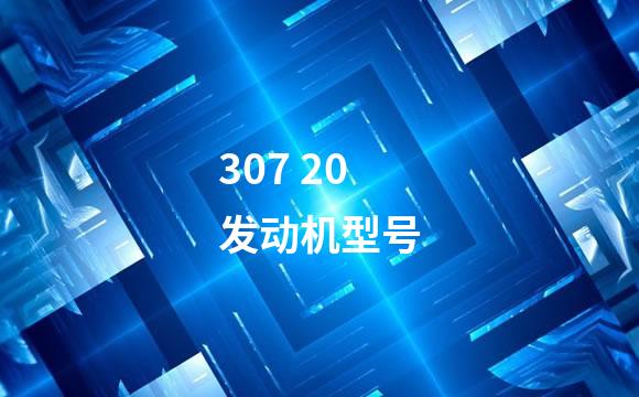 307 20发动机型号